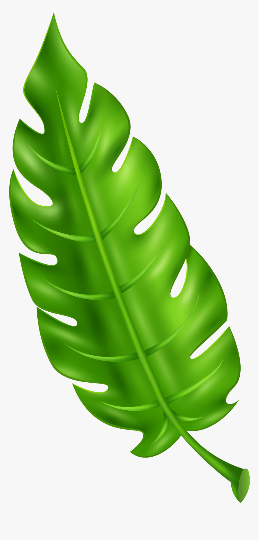 Exotic Green Clip Art - Green Leaf Clipart, HD Png Download, Free Download