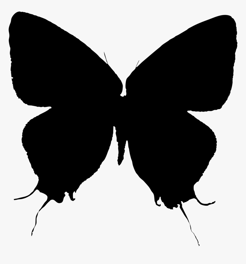 Brush-footed Butterflies Moth Clip Art Silhouette M - Swallowtail Butterfly, HD Png Download, Free Download