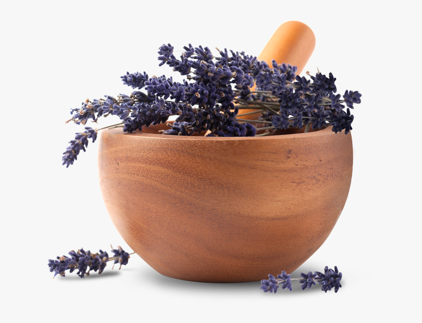 Bulk Apothecary Bowl Lavender - Superfood, HD Png Download, Free Download