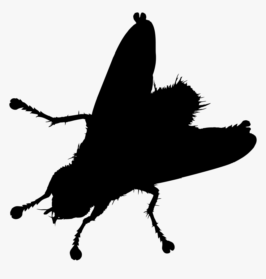 Moths And Butterflies Clipart , Png Download - House Fly Silhouette, Transparent Png, Free Download