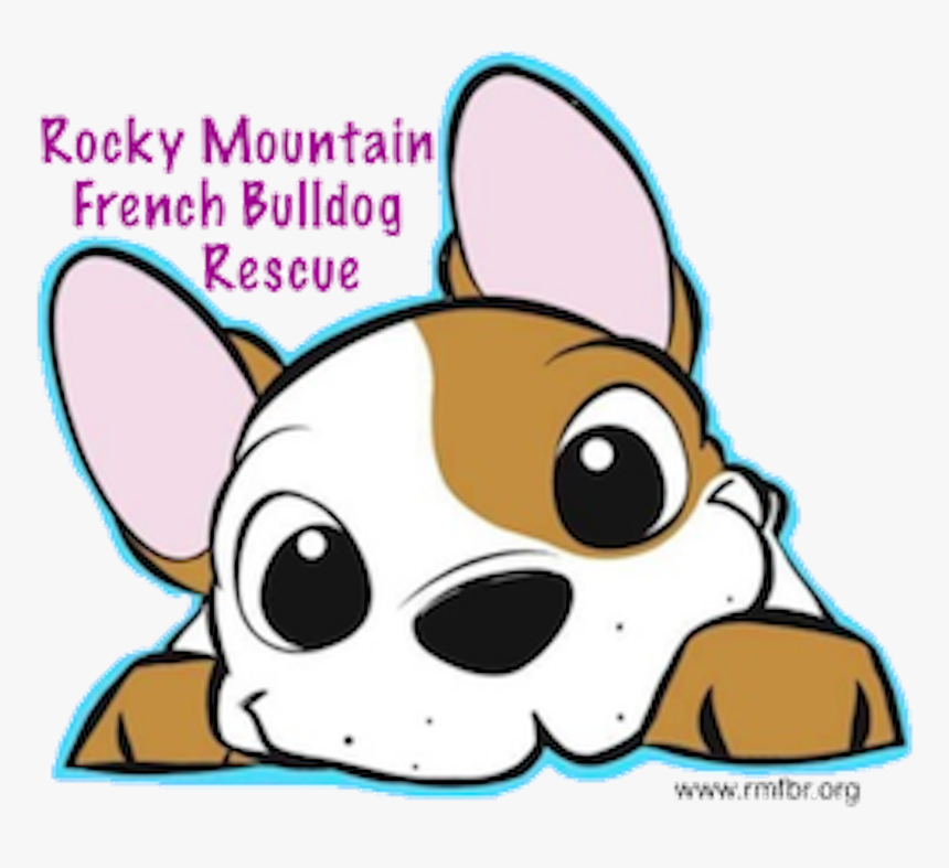 Rocky Mountain French Bulldog Rescue - French Bulldog, HD Png Download, Free Download