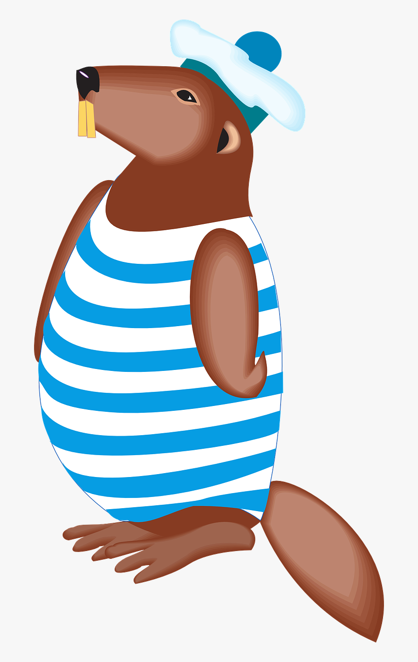 Beaver Swimsuit, HD Png Download, Free Download