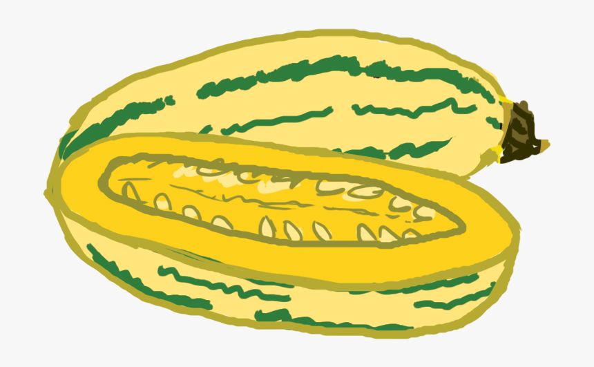 Zucchini Clipart Small - Zucchini, HD Png Download, Free Download