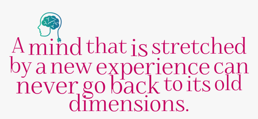 Experience Quotes Png Image Background - Lavender, Transparent Png, Free Download