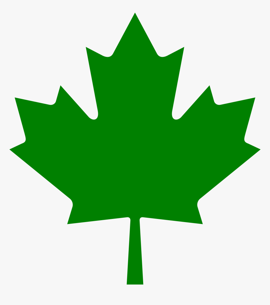 Green Maple Leaf Png - Canadian Red Maple Leaf, Transparent Png, Free Download