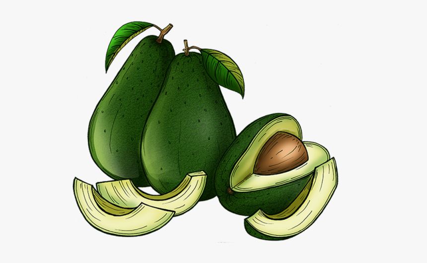 Thumb Image - Avocado, HD Png Download, Free Download