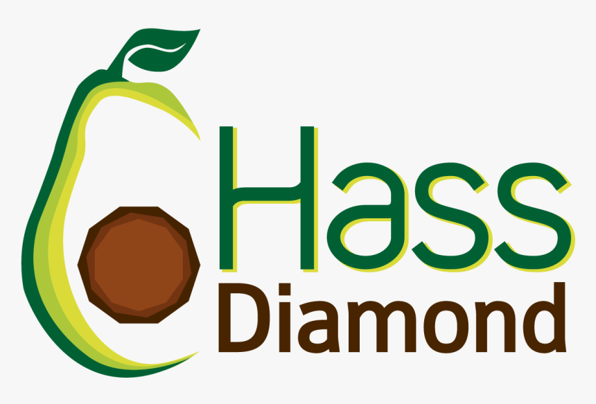 Hass 1 - Graphic Design, HD Png Download, Free Download