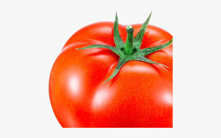Tomato Vegetable, HD Png Download, Free Download