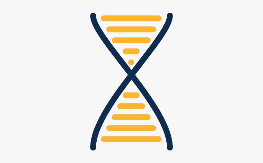 Dna, HD Png Download, Free Download