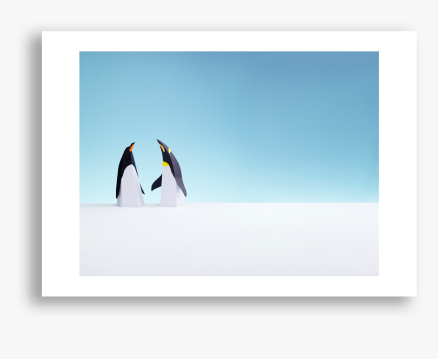 Paper Penguins - Emperor Penguin, HD Png Download, Free Download