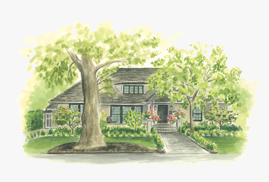 Home2 1121 44th Street - Tree, HD Png Download, Free Download