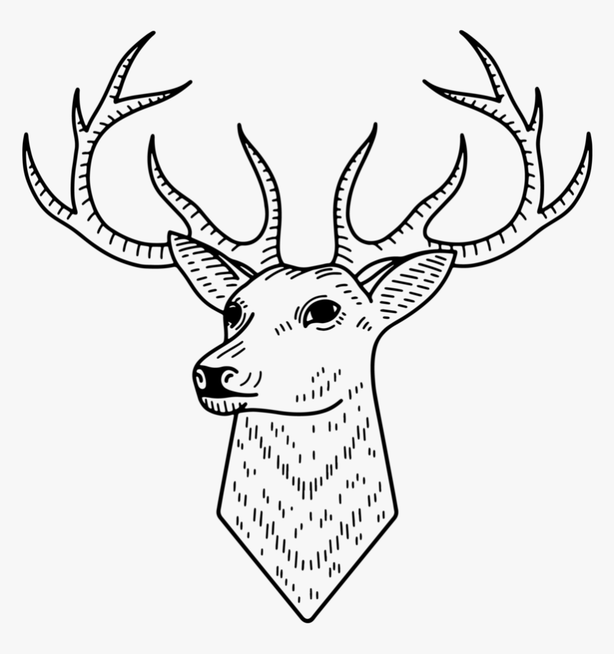 Buck-head - Antler, HD Png Download, Free Download