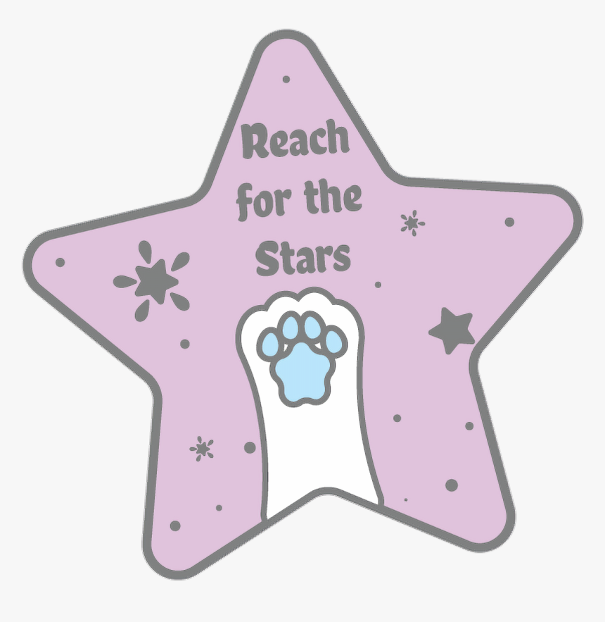 Starfish, HD Png Download, Free Download