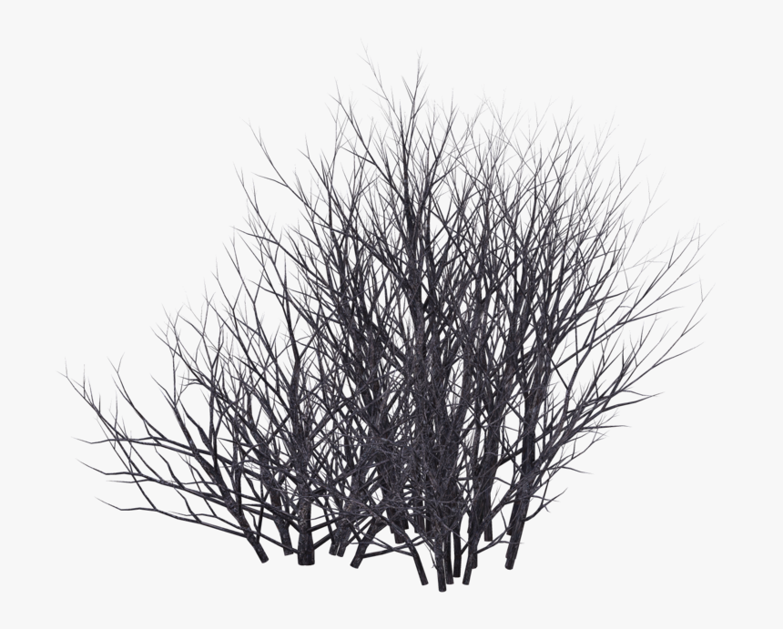 thorn bush silhouette clipart