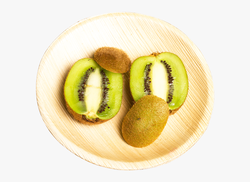 Important Facts That You Should Know About Palm And - Hardy Kiwi, HD Png Download, Free Download