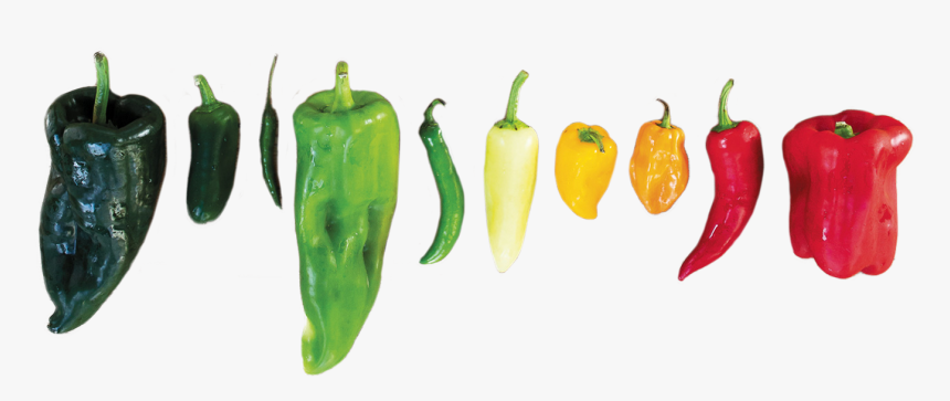 Serrano Pepper, HD Png Download, Free Download