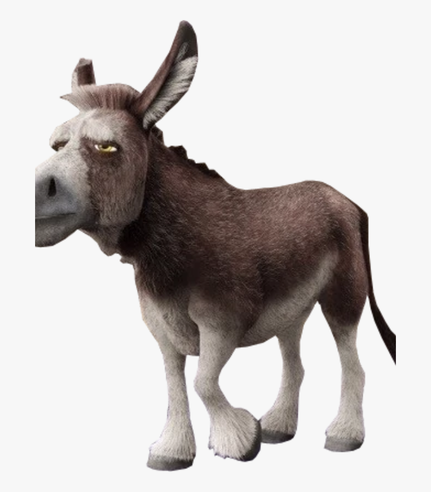Donkey - Wikipedia