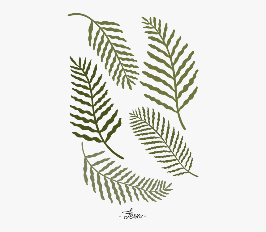 Botanical Fern Leaf Set Png, Transparent Png, Free Download