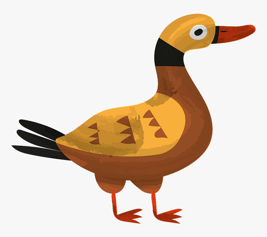 Seaduck, HD Png Download, Free Download