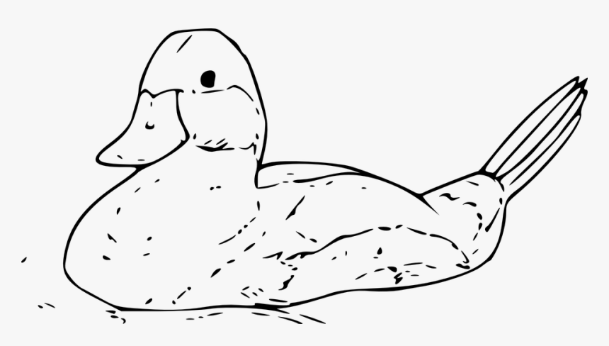 Outline Of A Duck, HD Png Download, Free Download