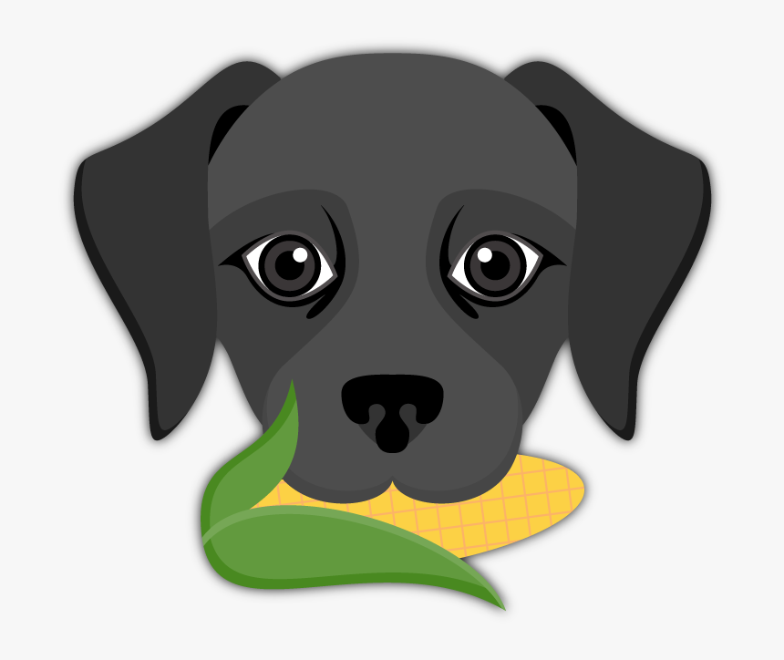 Labrador Retriever, HD Png Download, Free Download