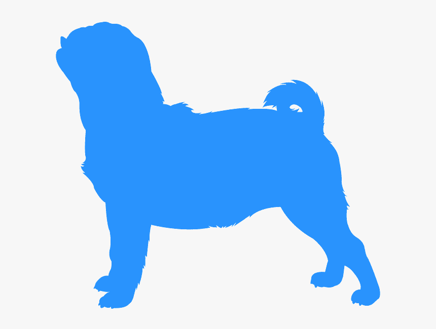 Companion Dog, Hd Png Download - Kindpng