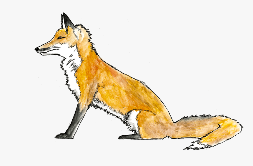 Call To Action - Red Fox, HD Png Download, Free Download