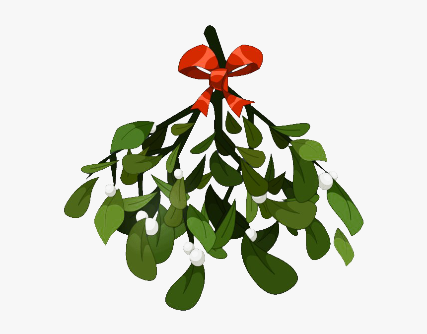 Mistletoe Png - Mistletoe Transparent, Png Download, Free Download