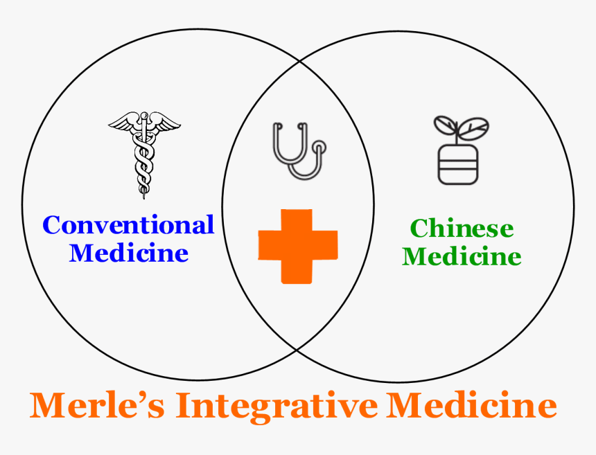 A Diagram That Shows Merle"s Approch To Integrative - Circle, HD Png Download, Free Download