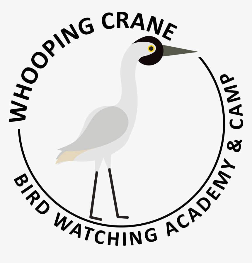 Whooping Crane Picture - Pichu, HD Png Download, Free Download