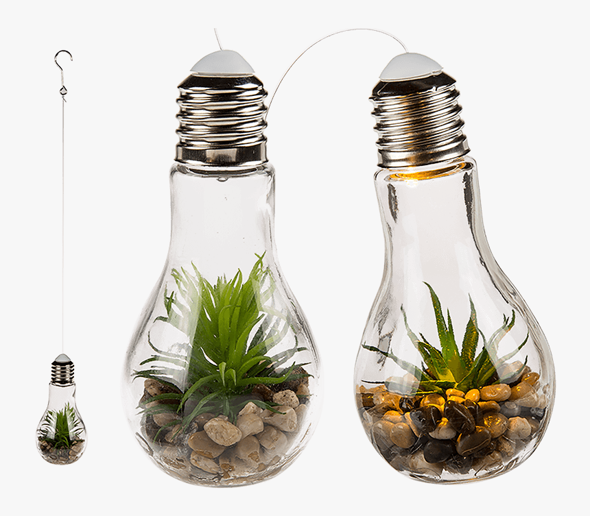 Transparent Hanging Light Bulb Png - Led Glühbirnen Mit Sukkulenten, Png Download, Free Download