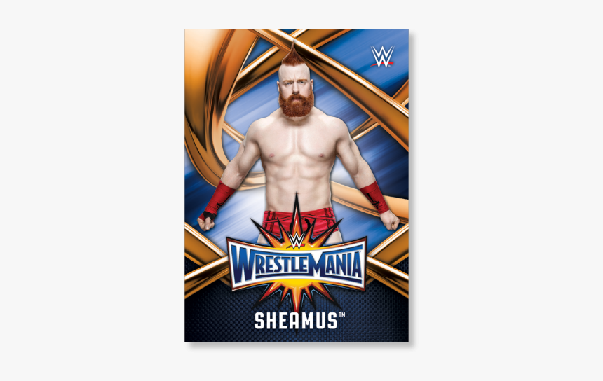 Sheamus 2017 Wwe Road To Wrestlemania Wrestlemania - Roman Reigns Wrestlemania Poster, HD Png Download, Free Download