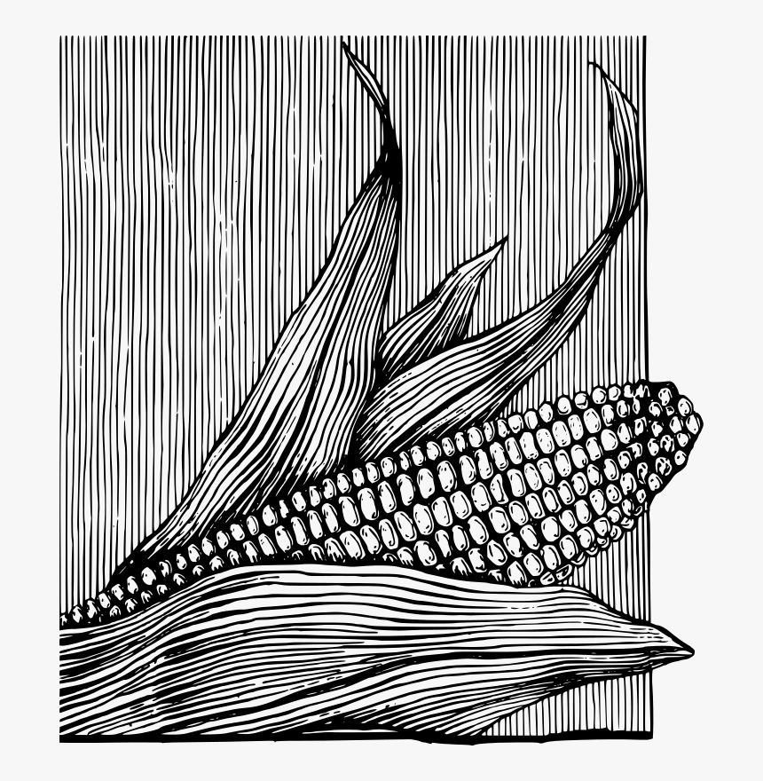 Corn On The Cob - Corn Graphics Black And White, HD Png Download, Free Download