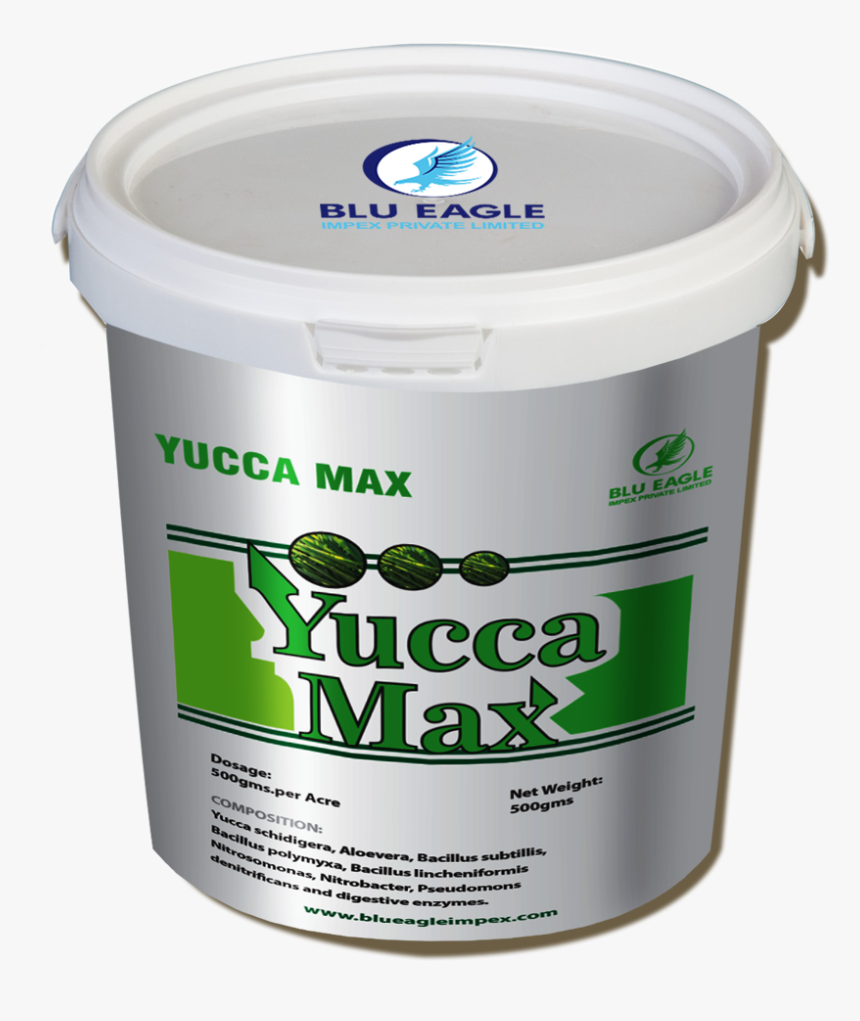 Yucca Products , Png Download - Reptile, Transparent Png, Free Download