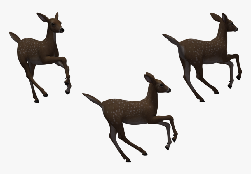 Fawn Png Download - Deer Silhouette, Transparent Png, Free Download