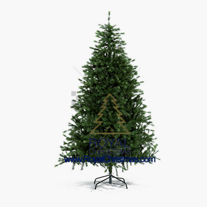 Free Png Pine Tree For Christmas Png Image With Transparent - Christmas Tree Without Decorations, Png Download, Free Download