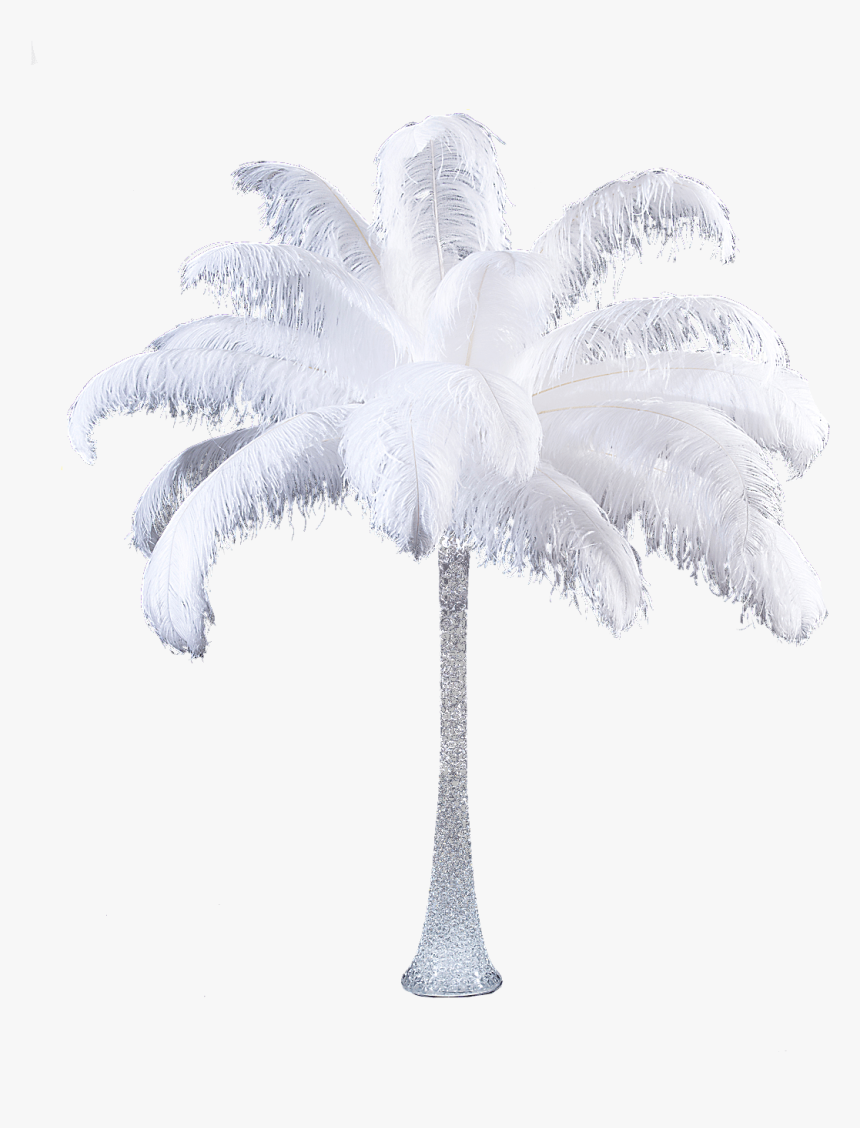 Ostrich Feather Centrepiece Hire - Darkness, HD Png Download, Free Download