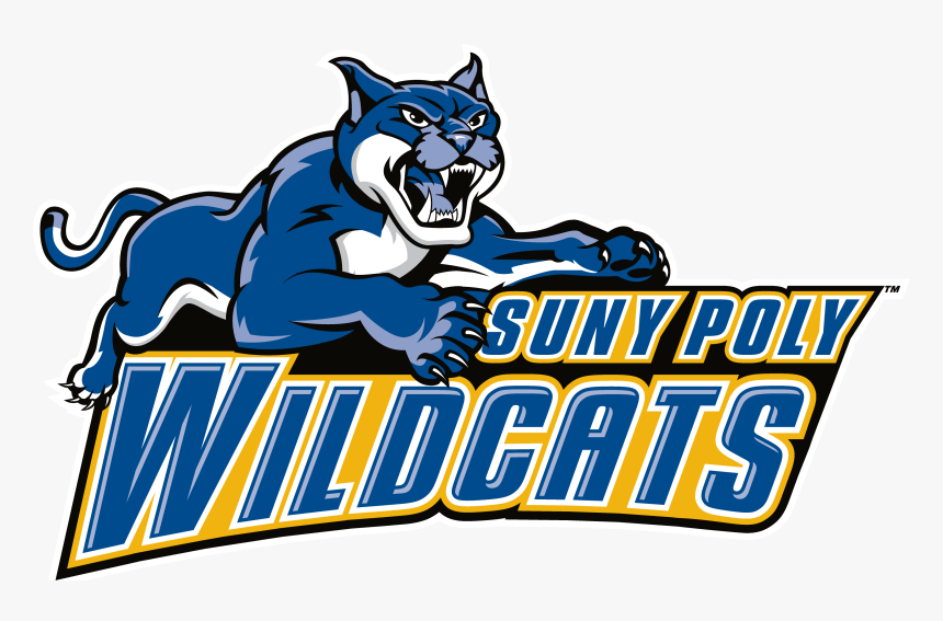 Wildcat Png, Transparent Png, Free Download