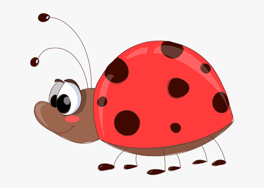 Ladybug, HD Png Download, Free Download