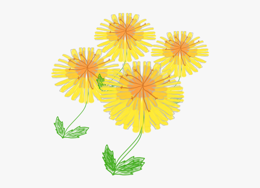 Dandelion, HD Png Download, Free Download