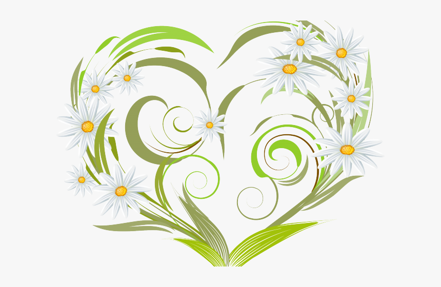 Daisy Clipart Margarita Flower - Heart Vector, HD Png Download, Free Download