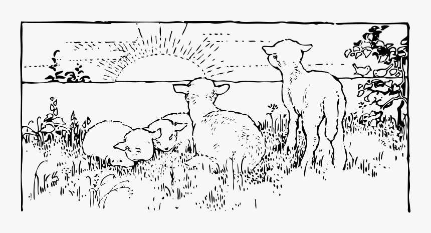 Lambs At Sunrise - Sunrise Photos Clipart Black And White, HD Png Download, Free Download