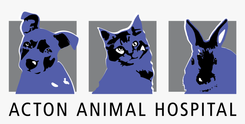 Acton Animal Hospital - Cartoon, HD Png Download, Free Download