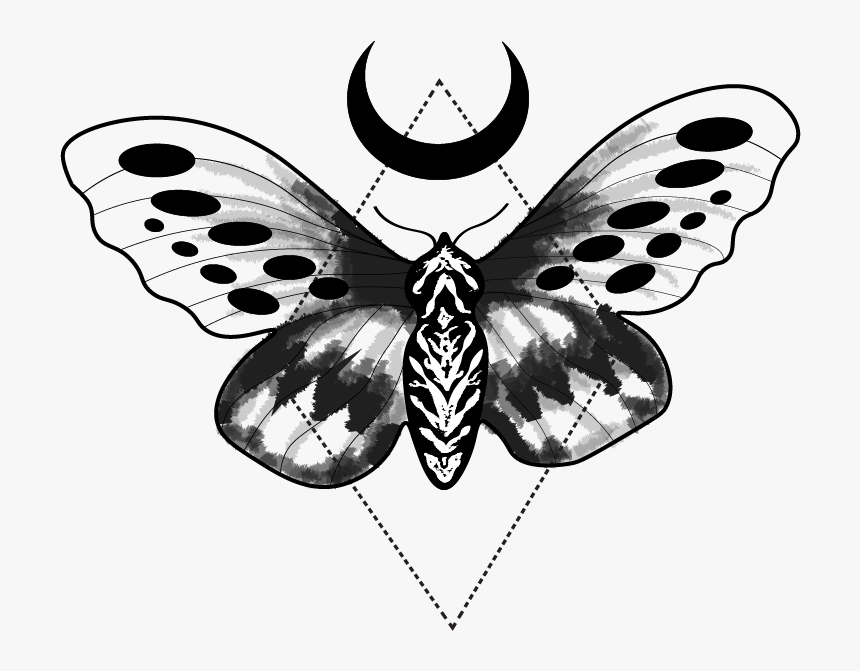 Portfolio - Moth Tattoo Design Transparent, HD Png Download, Free Download