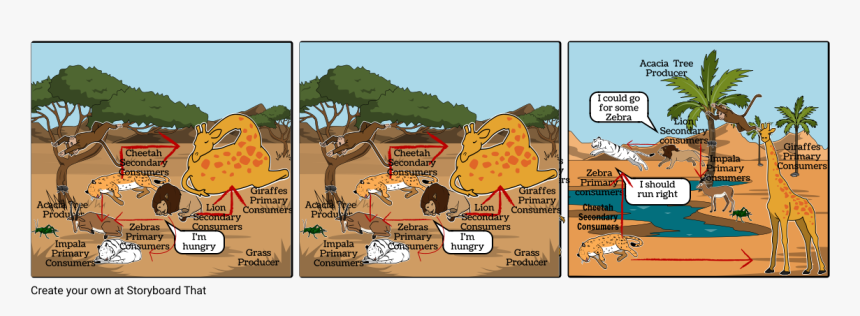 Food Web Comic Strip, HD Png Download, Free Download