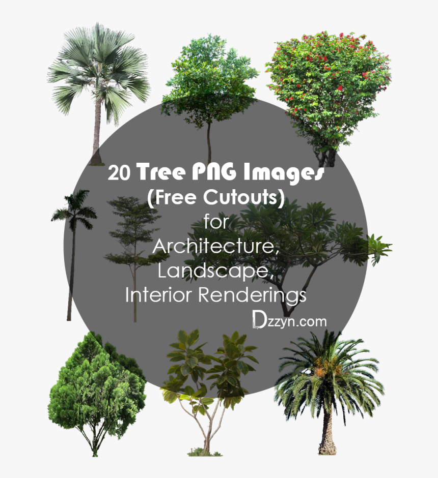 Trees Png Top View - 20 Free Tree Png, Transparent Png, Free Download