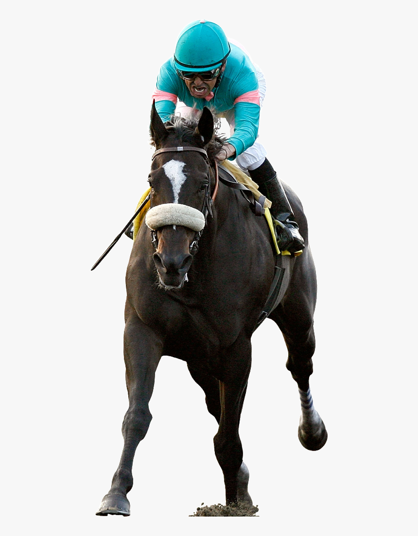 Horse Racing Png, Transparent Png, Free Download