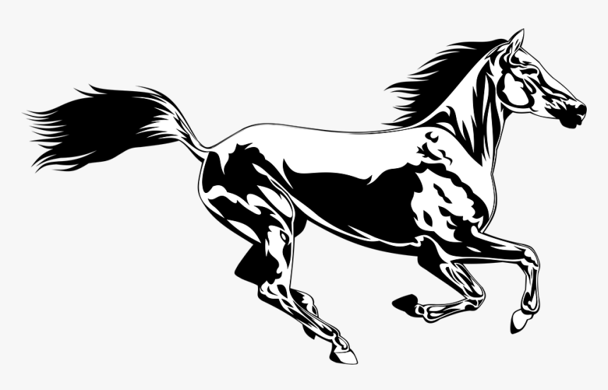 Horse, Racing, Animal, Riding, Rider, Coloring, Jokey - Horse, HD Png Download, Free Download