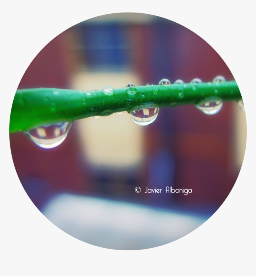 Transparent Gotas De Lluvia Png - Drop, Png Download, Free Download