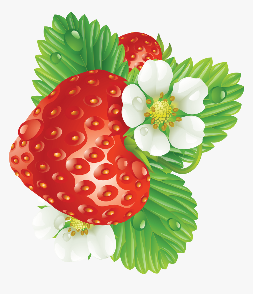 Fresa Imagen Png Descarga Gratuita De Im Genes Con Strawberry Transparent Png Kindpng